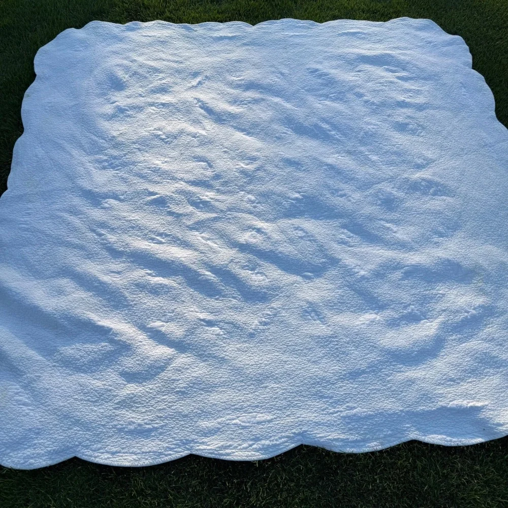 Floral Embroidered Patchwork Quilt Scalloped Edge White Burgundy 88x88 Vintage